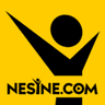 Nesine Logo